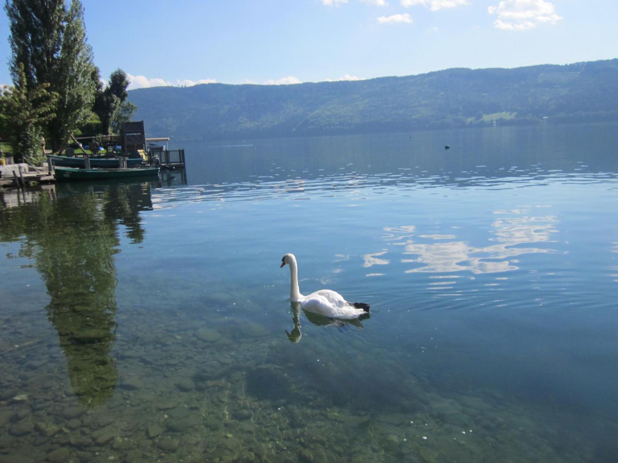 Ferienwohnung Moser Am See ミルシュタット エクステリア 写真